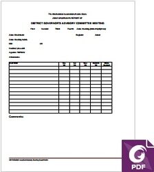 Zone Chair DG Report form